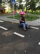 Fotografie