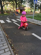 Fotografie