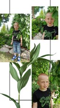 Fotografie