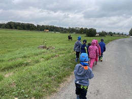 Fotografie