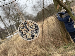 Fotografie