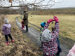 Fotografie