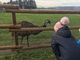 Fotografie