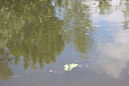 Fotografie