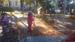 Fotografie