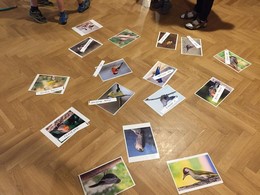 Fotografie
