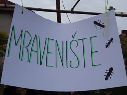 Fotografie