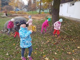 Zobrazit » 5.11.2018 - Uklízíme zahradu