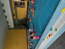 Fotografie