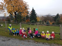 Zobrazit » 8.11.2018 - Naši kamarádi