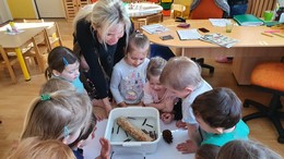 Fotografie