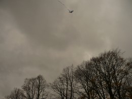 Fotografie