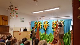 Fotografie