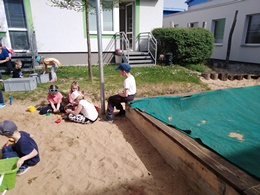 Fotografie