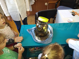Zobrazit » Hudební+výtvarný obor ZUŠ