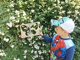 Fotografie