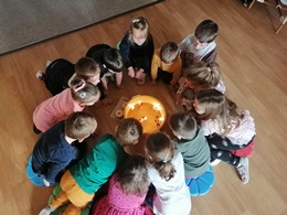 Fotografie
