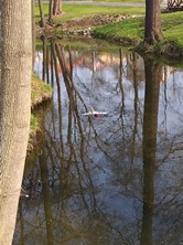 Fotografie
