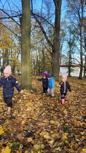 Fotografie