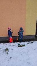 Fotografie