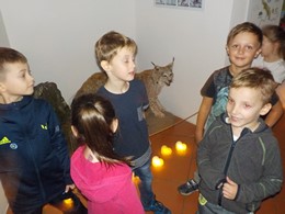 Fotografie