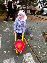 Fotografie