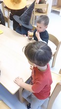 Fotografie
