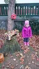 Fotografie