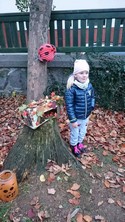 Fotografie