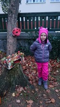 Fotografie