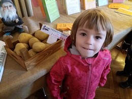 Zobrazit » Výstava Zahrada Pošumaví
