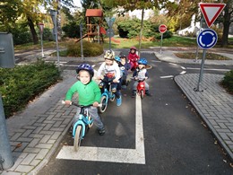 Fotografie