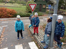 Fotografie