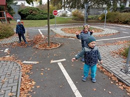Fotografie