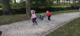 Fotografie