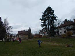 Fotografie