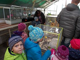 Fotografie