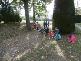 Fotografie
