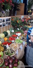 Fotografie