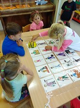 Zobrazit » S robotickou včelou