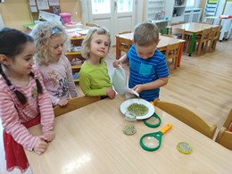 Zobrazit » Malí zahradníci