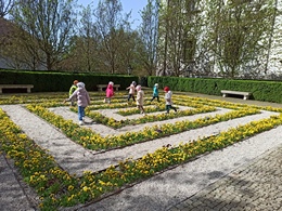 Fotografie