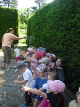 Fotografie