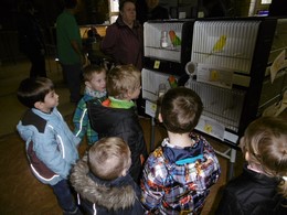 Fotografie
