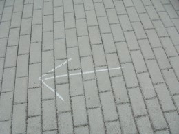 Fotografie
