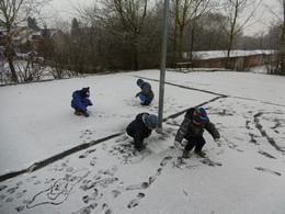 Fotografie