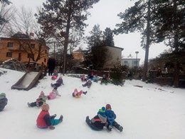 Fotografie