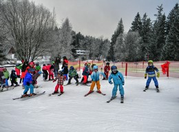 Fotografie