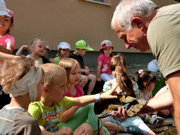 Fotografie