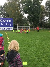 Fotografie